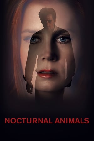 Nocturnal Animals (2016) Hindi Dual Audio 480p BluRay 380MB