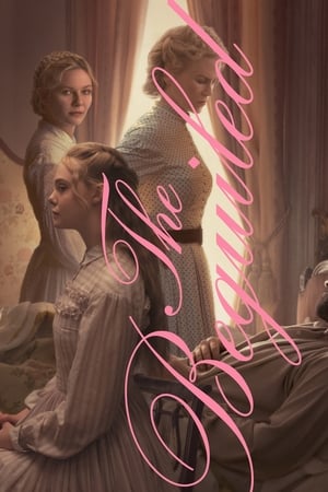 The Beguiled (2017) Hindi Dual Audio 480p BluRay 330MB