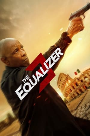 The Equalizer 3 2023 Hindi (ORG) Dual Audio Web-DL 720p – 480p